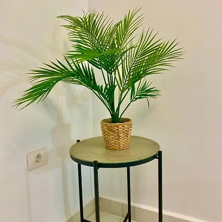 Apartman Jade Exclusives In Americas