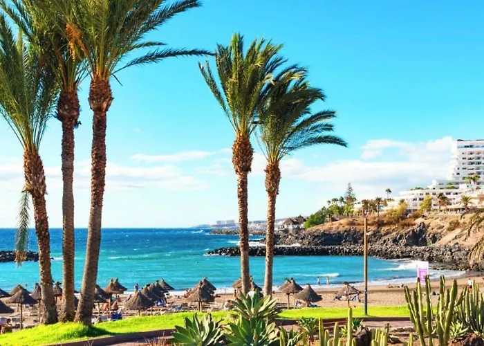 Jade Exclusives In Americas