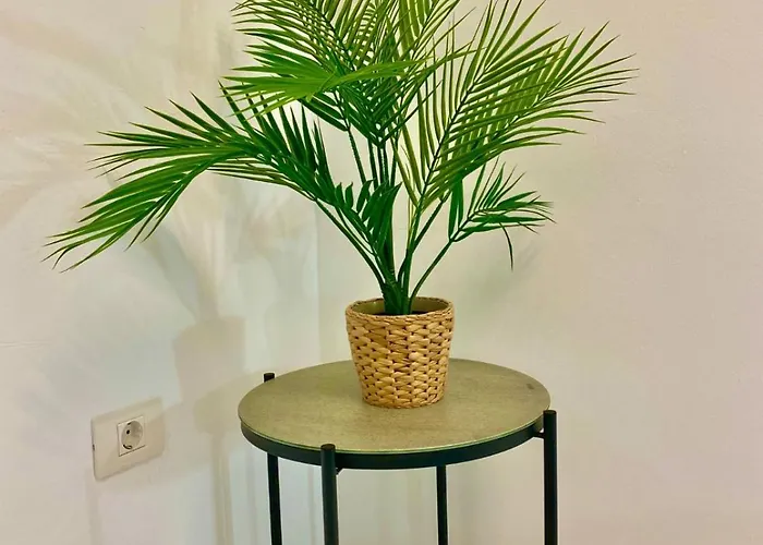 Apartament Jade Exclusives In Americas